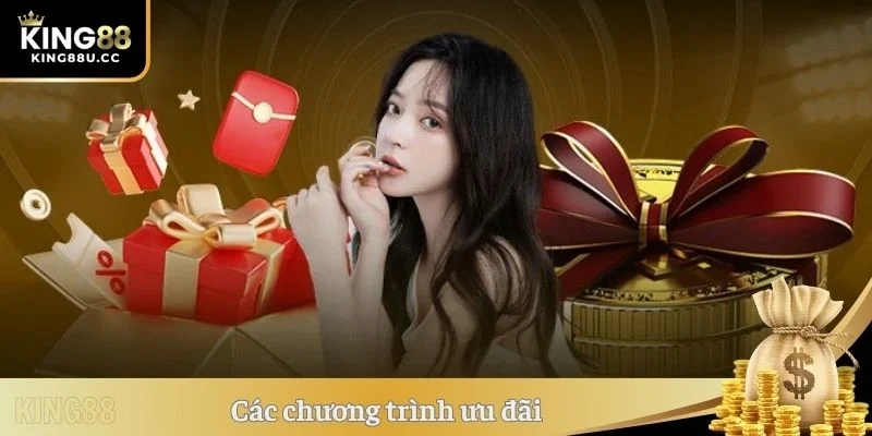 Các chương trình ưu đãi