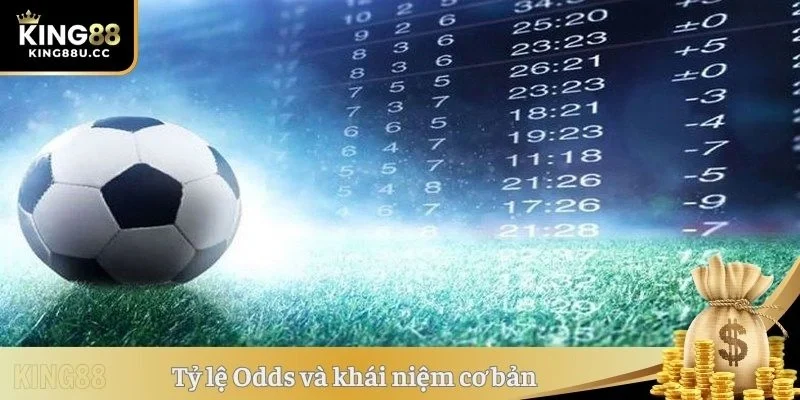 Tỷ lệ Odds và khái niệm cơ bản